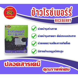 ข้าวไรซ์เบอร์รี่ ตราปลานิลทอง ขนาด 1 กก.