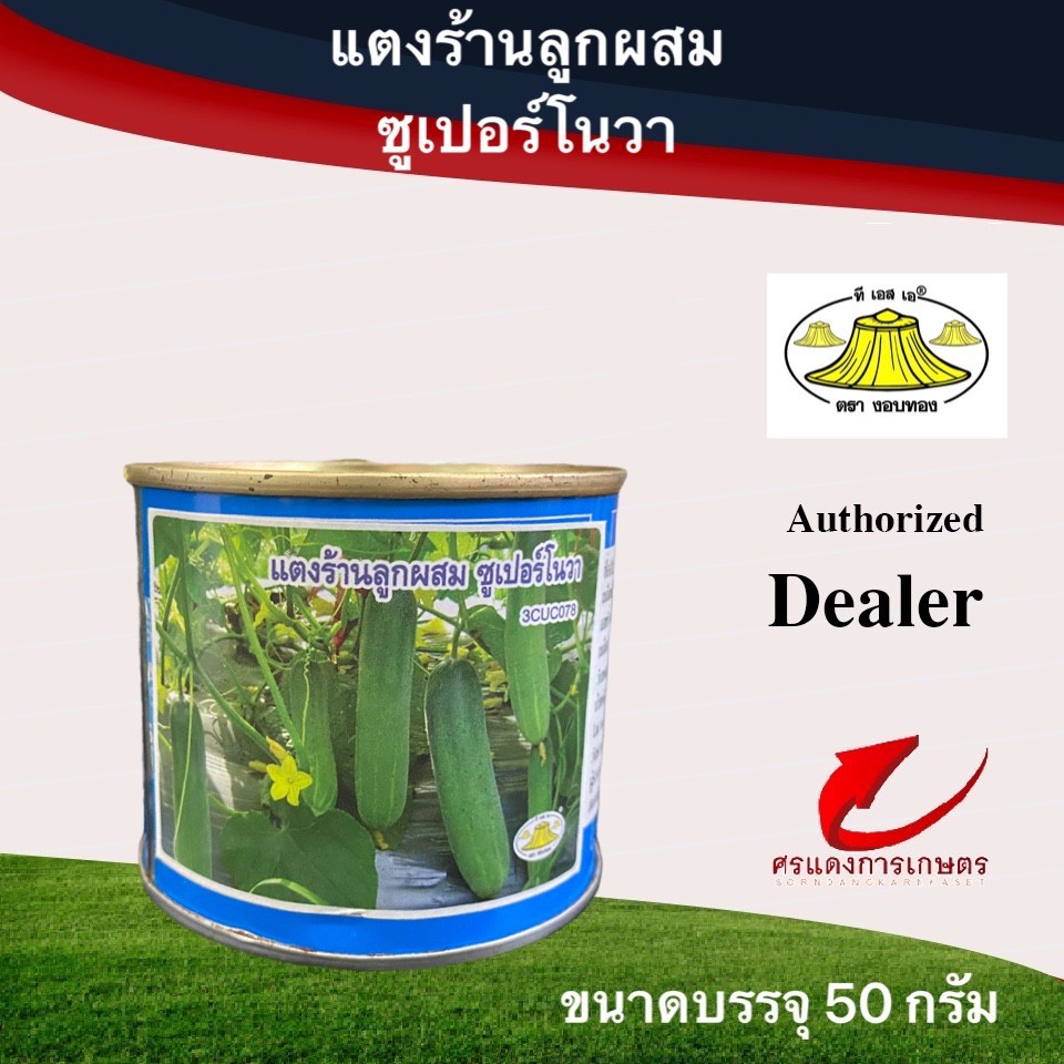 เมล็ดพันธุ์ แตงร้านซูเปอร์โนวา 50g