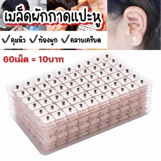 เมล็ดผักกาดแปะหู เมล็ดบำบัด (1แผง60เม็ด)