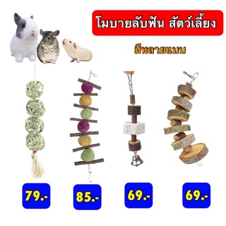 โมบายสำหรับสัตว์ฟันแทะ ของเล่นลับฟัน ขนมกระต่าย แกสบี้ ชินชิล่า แพรี่ด็อก