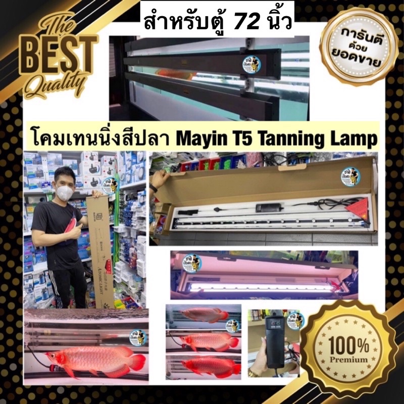 โคมเทนนิ่งสีปลา Mayin T5 Tanning Lamp สำหรับตู้ 72 นิ้ว รุ่นหลอดไฟสามแถว T5 2แถว(ค่าแสง 13000K) LED 1แถว (ค่าแสง 2700K)