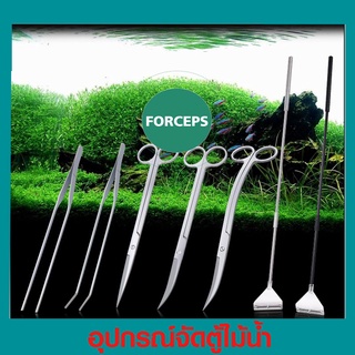 ฟอเซป forceps อุปกรณ์จัดตู้ไม้น้ำ เสตนเลส คีบตรง คีบงอ กรรไกรตรง กรรไกรปากงอ