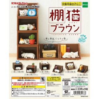 (เลือกแบบ) กาชาปองสัตว์ แมว ในกล่อง ชั้นหนังสือ • Little Cat Bookshelf Gashapon