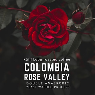 🌹[หวานฉ่ำจำไม่ลืม] Colombia Rose Valley | kōhī kobu single origin | เมล็ดกาแฟคั่วสดใหม่