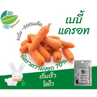 เบบี้แครอท (Baby Carrot)