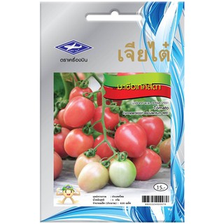 TOMATO CHIA TAI SEED เมล็ดพันธุ์มะเขือเทศสีดา เมล็ดพันธุ์ ปุ๋ยและเมล็ดพันธุ์ สวนและอุปกรณ์ตกแต่ง TOMATO CHIA TAI SEED