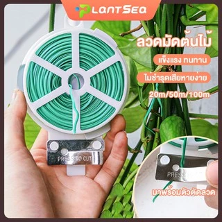 ลวดมัดต้นไม้ ลวดหุ้มพลาสติก (ม้วน20/50/100เมตร) ลวดดัดต้นไม้