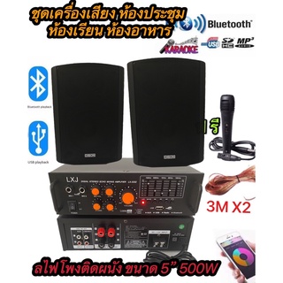 ชุดเครื่องขยายเสียงพร้อมลำโพง (มีLX-3332+FT-105 2ใบ+ไมค์สาย+สายลำโพง 3มX2)