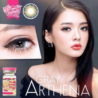 🐠Mini Arthena Gray🐠สายตาปกติ,-0.50(kitty kawaii)(Artherna)(cocoro)