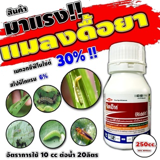 🍀🐛ริดอิท 250 cc.🍀🐛  กำจัดหนอนดื้อยา เพลี้ยไฟดื้อยา หนอนห่อใบ คุมใข่