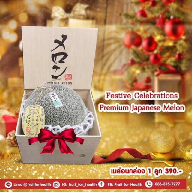 เมล่อน กล่องของขวัญ​ลายไม้​1 ลูก เมล่อน by Fruit for Health