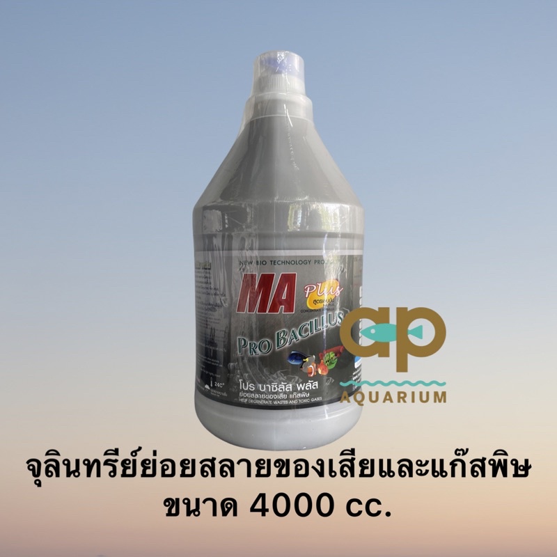 PRO BACILLUS PLUS 3800 cc จุลินทรีย์น้ำ ขนาด 4 ลิตร ย่อยสลายของเสียและแก๊สพิษ