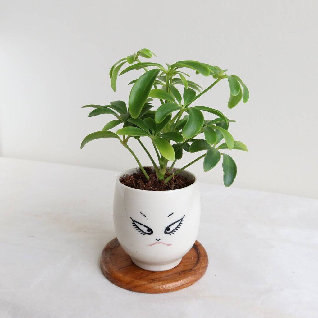 มุมมอง 3