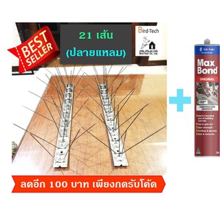 หนามกันนก bird spike ฐานและกิ่งสแตนเลส ➡️​ปลายแหลม​⬅️​ 21 เส้น แถมกาวตะปู 1 หลอด หนามถี่ 90 กิ่งต่อเมตร