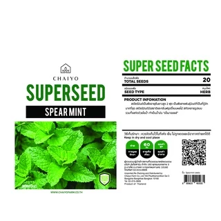 เมล็ด SPEARMINT seed สเปียร์มินต์