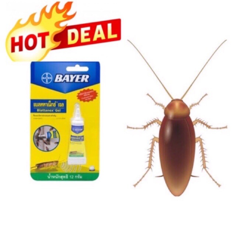 กำจัดแมลงสาบ หมดรัง ! Bayer ไบเออร์ แบลททาเน็กซ์ เหยื่อกำจัดแมลงสาบหมดรังชัวร์ รับประกันของแท้ 100%