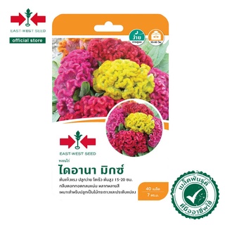 East-West Seed เมล็ดพันธุ์หงอนไก่ (CELOSIA CR SEEDS)ไดอานา มิกซ์ เมล็ดพันธุ์ผัก เมล็ด（นี่มันเมล็ดพืช ไม่ใช่พืช!）