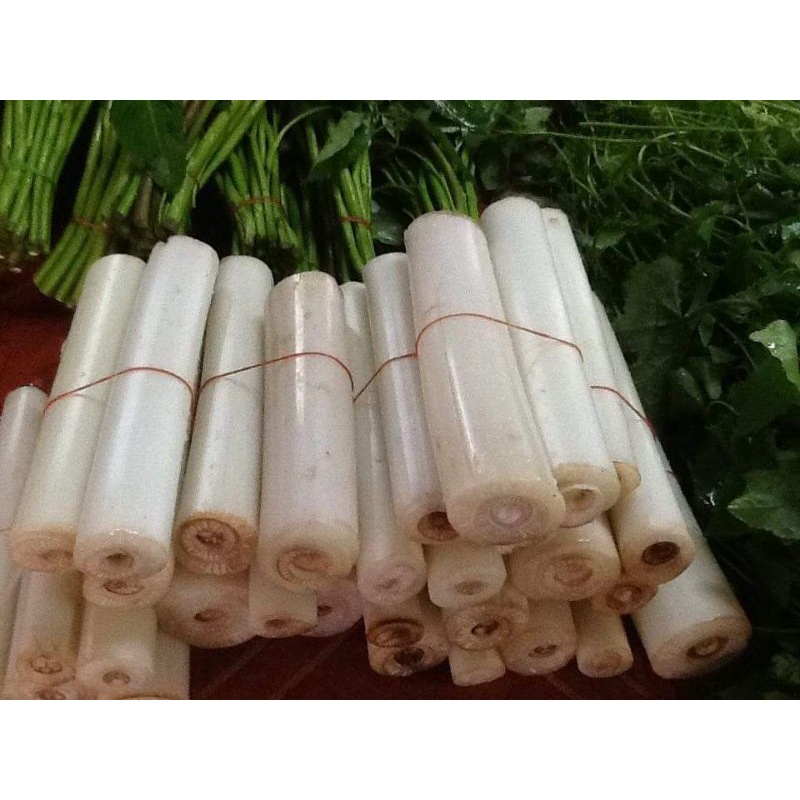หยวกกล้วยป่า อาหารทางเลือกใหม่ อาหารพื้นบ้าน สำหรับแกง ผักพื้นบ้านภาคใต้เพื่อสุขภาพ