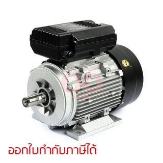 VALU (แวลู) มอเตอร์ รุ่น YL100L-4 กำลังมอเตอร์ 3 แรงม้า (2.2 กิโลวัตต์) ไฟ 1 เฟส 220 โวลต์ 2 สาย 4 โพล IP54