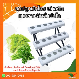 ชุดทดลองปลูกผักไฮโดรโปรนิกส์ แบบน้ำนิ่ง 18 หลุม แบบขาเหล็กขั้นบันได by hydroponicgroup