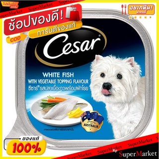 ✨ขายดี✨ ซีซาร์ อาหารสุนัข รสปลาเนื้อขาวพร้อมผักโรย 100กรัม Cesar White Fish with Vegetable Topping Flavour Dog Food 100g