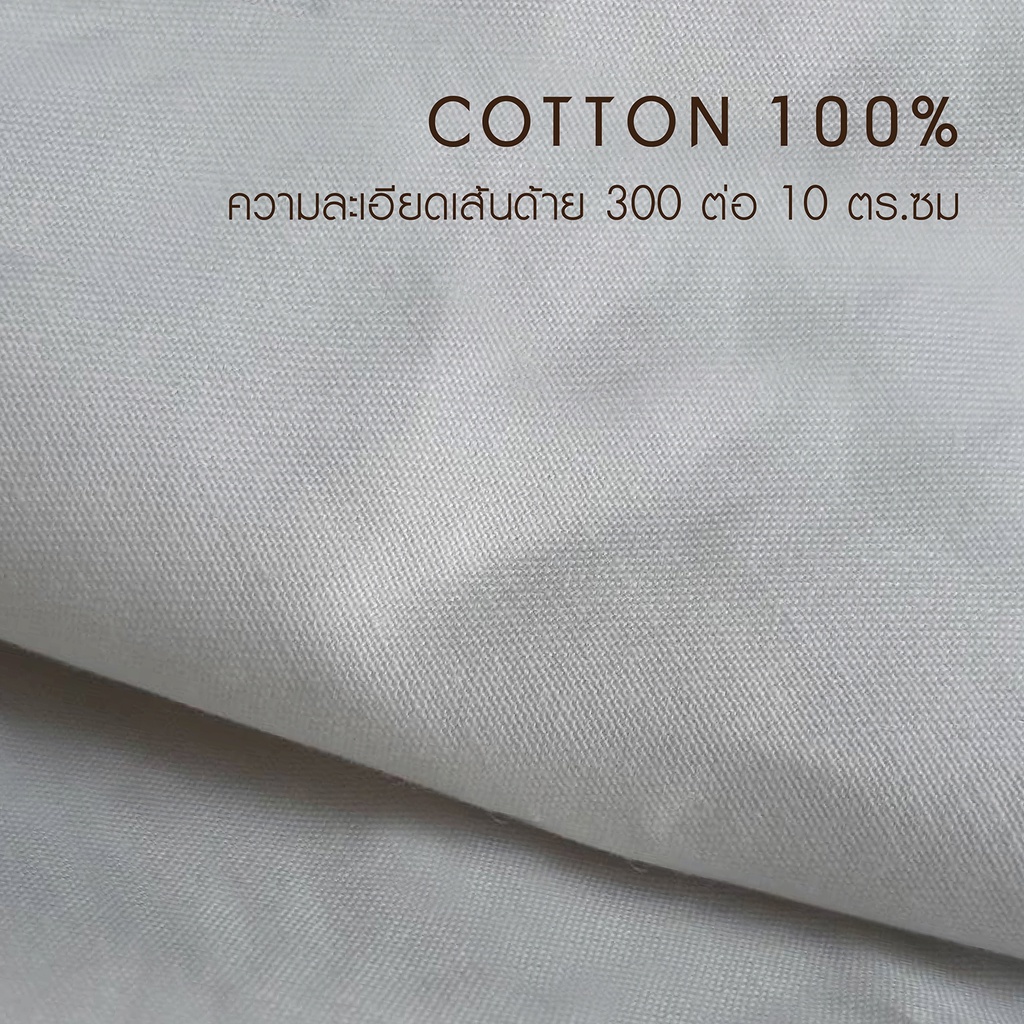 LUCKY mattress ผ้าปูที่นอน Cotton 100% SIGNATURE COTTON COLLECTION Design Color
