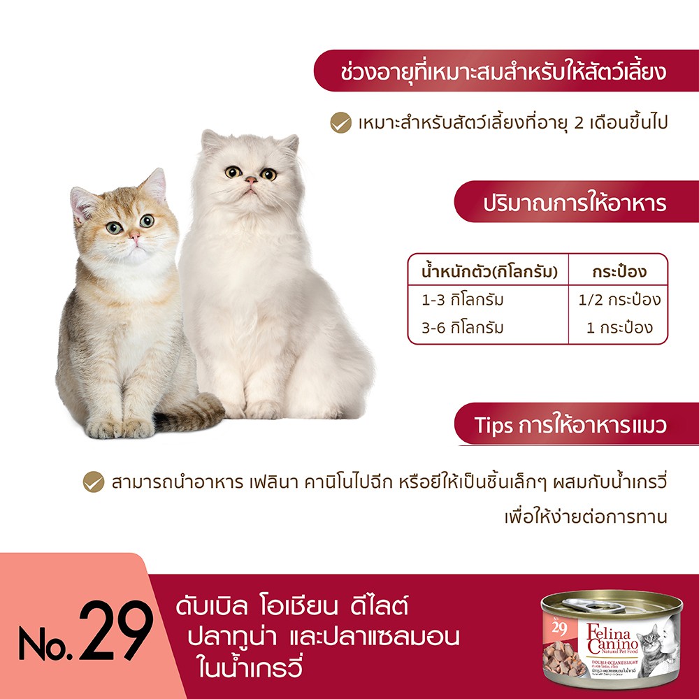 Felina Canino (อาหารสำหรับแมว) : NO.29 Double Ocean Delight (ปลาทูน่า ปลาแซลมอนและน้ำเกรวี่) 70g. แพค 12 กระป๋อง