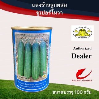 เมล็ดพันธุ์ แตงร้านซูเปอร์โนวา 100g