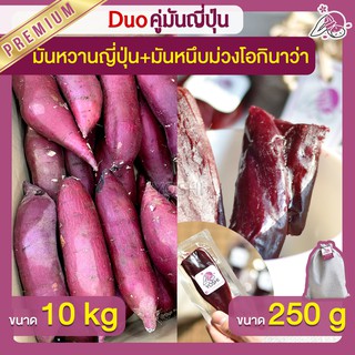 แพ็คคู่ถูกกว่า มันหวานญี่ปุ่น เบนิฮารุกะ 10kg + มันหนึบม่วง 250g  มันหวานญี่ปุ่นนำเข้า มันหนึบ โอกินาว่า