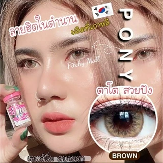 💋 สุดปัง มีค่าสายตา 💋 Wink Pony Gray Brown Black บิ๊กอาย สุดปัง คอนแทคเลนส์ รายเดือน มีอย แถมตลับฟรี เลนส์นิ่ม สวยปังมาก