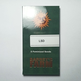 เมล็ดกัญชา Barneys farm "LSD" feminized cannabis 420 seeds