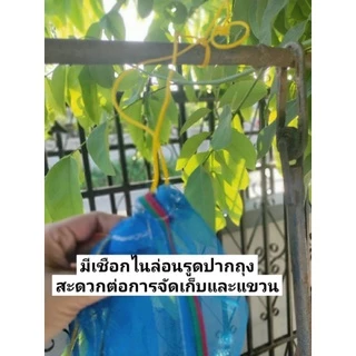 ถุงตาข่ายกว้าง100ซม.×ลึก150ซม.เลี้ยงหอยในน้ำลึก ถุงเก็บขยะรีไซเคิล เก็บของ คลุมต้นไม้ เลี้ยงหอยในน้ำลึกได้