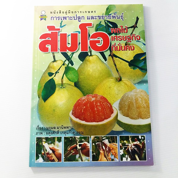 E 032_การเพาะปลูกและขยายพันธุ์ ส้มโอ