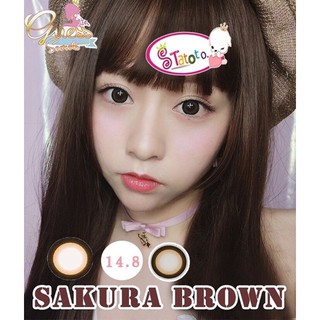 sakura brown by TATOTO Contact Lenses บิ๊กอาย #259