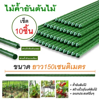 ไม้ค้ำยันต้นไม้❌แพ็ค10ชิ้น❌ ค้างต้นไม้ ซุ้มต้นไม้ ซุ้มต้นไม้ ค้างผัก plants support stick 60/150/180cm.ซุ้มกุหลาบ ไม้ดอก