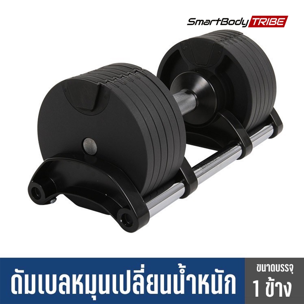 อัลบั้ม 104+ ภาพพื้นหลัง ดัมเบล หลัง ความละเอียด 2k, 4k