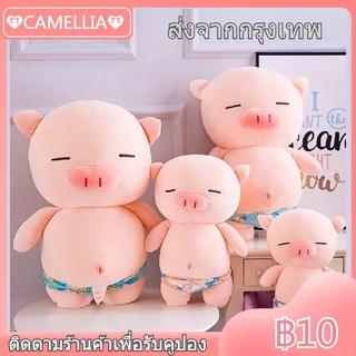 กางเกงว่ายน้ำตุ๊กตาหมูนุ่มของเล่นตุ๊กตาว่ายน้ำตุ๊กตาหมูสาวหมอน 25 ซม./40 ซม./50 ซม./60cm