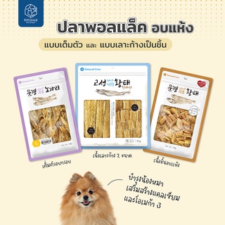 Natural Core Dried Pollack ปลาพอลเเล็ค อบเเห้ง เเบบเต็มตัว เเละเเบบเลาะก้าง ขนมสุนัขอาหารทานเล่นสุนัข นำเข้าจากเกาหลี 🇰🇷