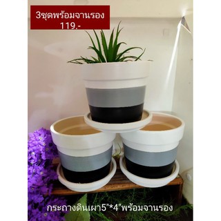 กระถาง5"x4"ดินเผาลงสีคาดพร้อมจานรอง3ชุด119.-