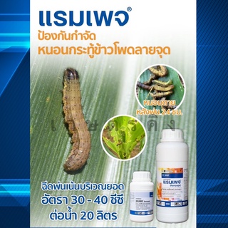 แรมเพจ 500 ซีซี. คลอร์ฟีนาเพอร์ 10% W/V SC - สารกำจัดแมลง  กำจัหนอกกอ หนอนกระทู้ข้าวโพด หนอนหนังเหนียว หนอนเจาะ เพลี้ยไฟ