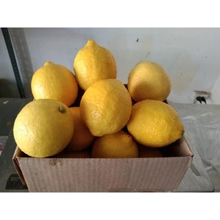 มะนาวเหลืองสดผิวสวยเหลืองเข้ม เลม่อน(Lemon)