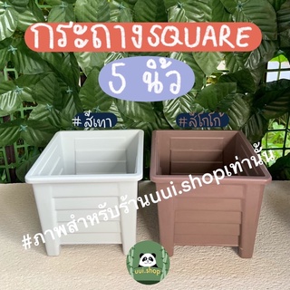 กระถางsquare 5 นิ้ว ขายเป็นเซท