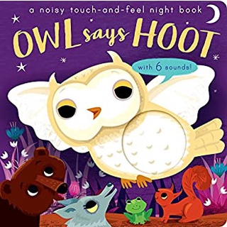 Owl Says Hoot : A noisy touch-and-feel night book สั่งเลย!! หนังสือภาษาอังกฤษมือ1 (New)