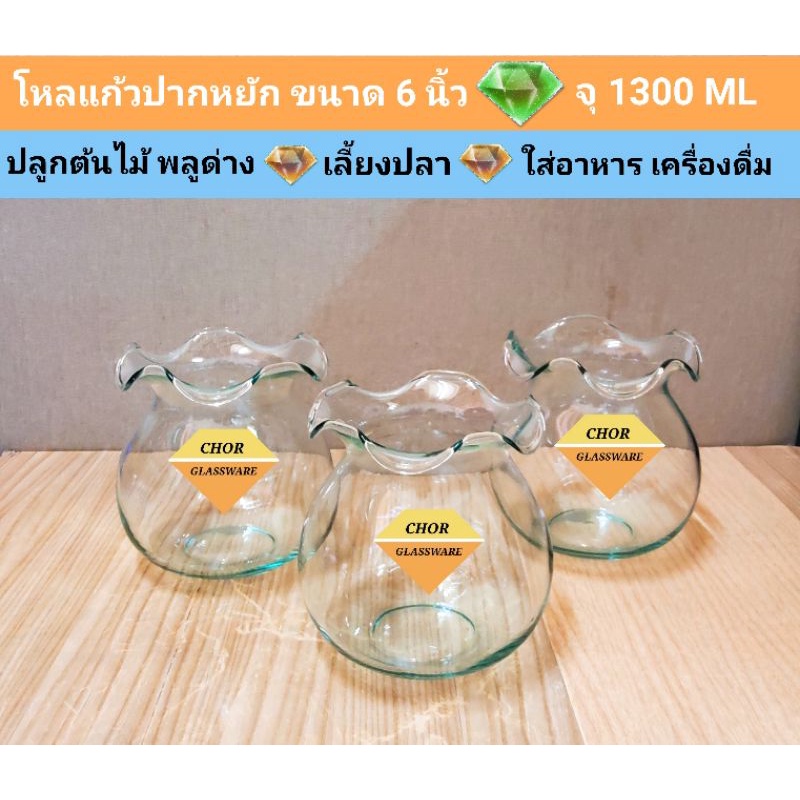 โหลแก้วเลี้ยงปลาปากหยัก ขนาด 6 นิ้ว (พร้อมส่ง 1300 ML) รูปที่ 3