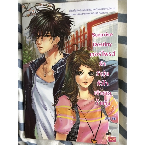 นิยายแจ่มใส มือ2 [ Surprise Destiny ]