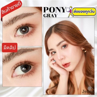 💟 Lovely lens Pony brown gray Contactlens  บิ๊กอาย คอนแทคเลนส์ ราคาถูก แถมตลับฟรี