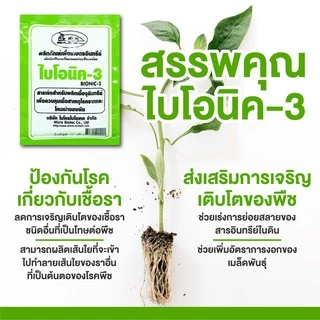 Bionic ไบโอนิค (พด.3) 100กรัม* สารเร่ง 3 สารเร่งทำเชื้อจุลินทรีย์ โรคราก โคนเน่า ไตรโคเดอร์ม่า