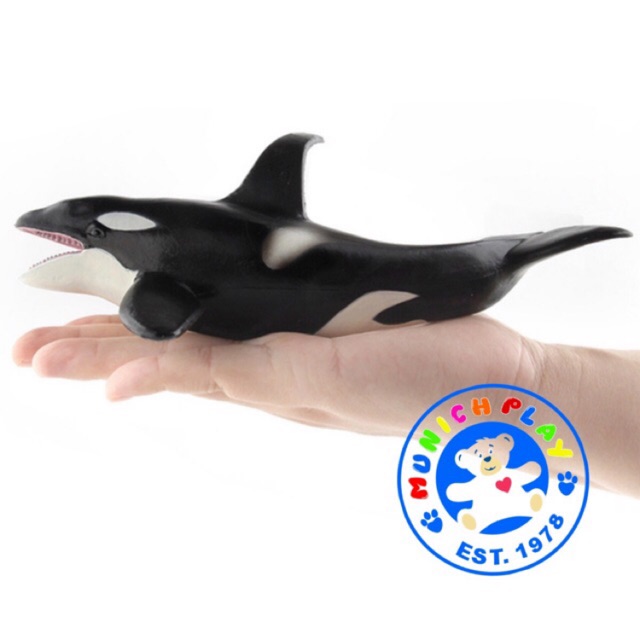Munich Play - โมเดลสัตว์ Whale วาฬ ปลาวาฬ เพชฌฆาต หางชี้ ขนาด 20.00 CM (จากหาดใหญ่)
