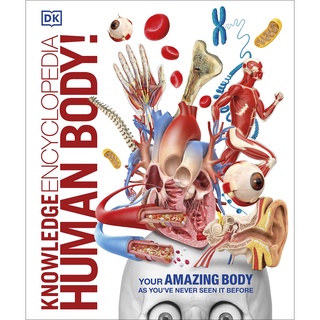 DKTODAY หนังสือ KNOWLEDGE ENCYCLOPEDIA HUMAN BODY Dorling Kindersley