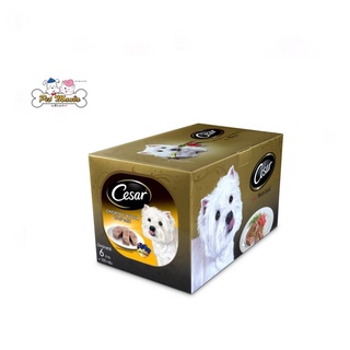 CESAR Multipack Tray Chicke Flavor 6ถาด ซีซาร์ อาหารเปียกสุนัข รสไก่ ชนิดถาด 100g